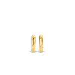 Ti Sento 7210SY Milano Earrings