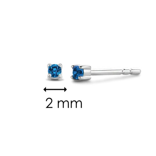 Ti Sento 7834DB Milano Earrings