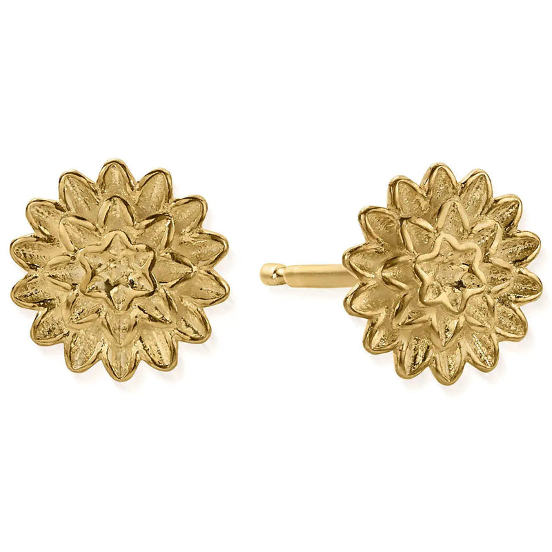 Chlobo Gold Botanical Beauty Stud Earrings